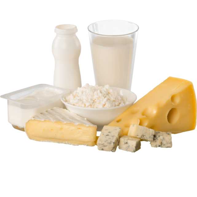 dairy-products-exporter