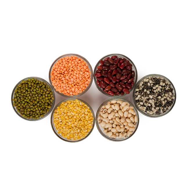 pulses-grains-legumes